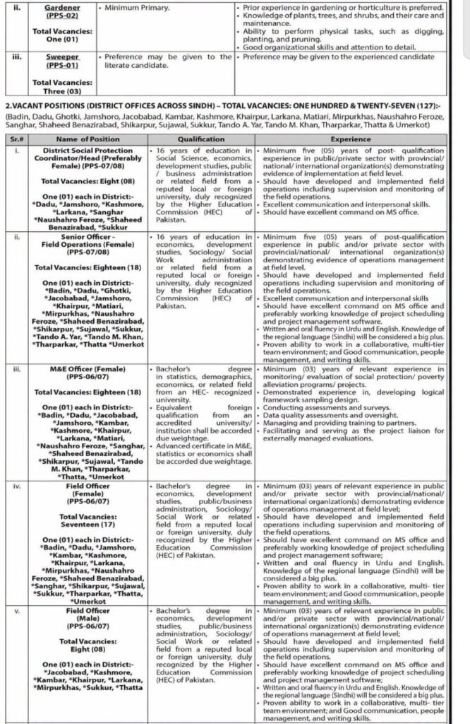 Sindh Social Protection Authority Jobs 2026