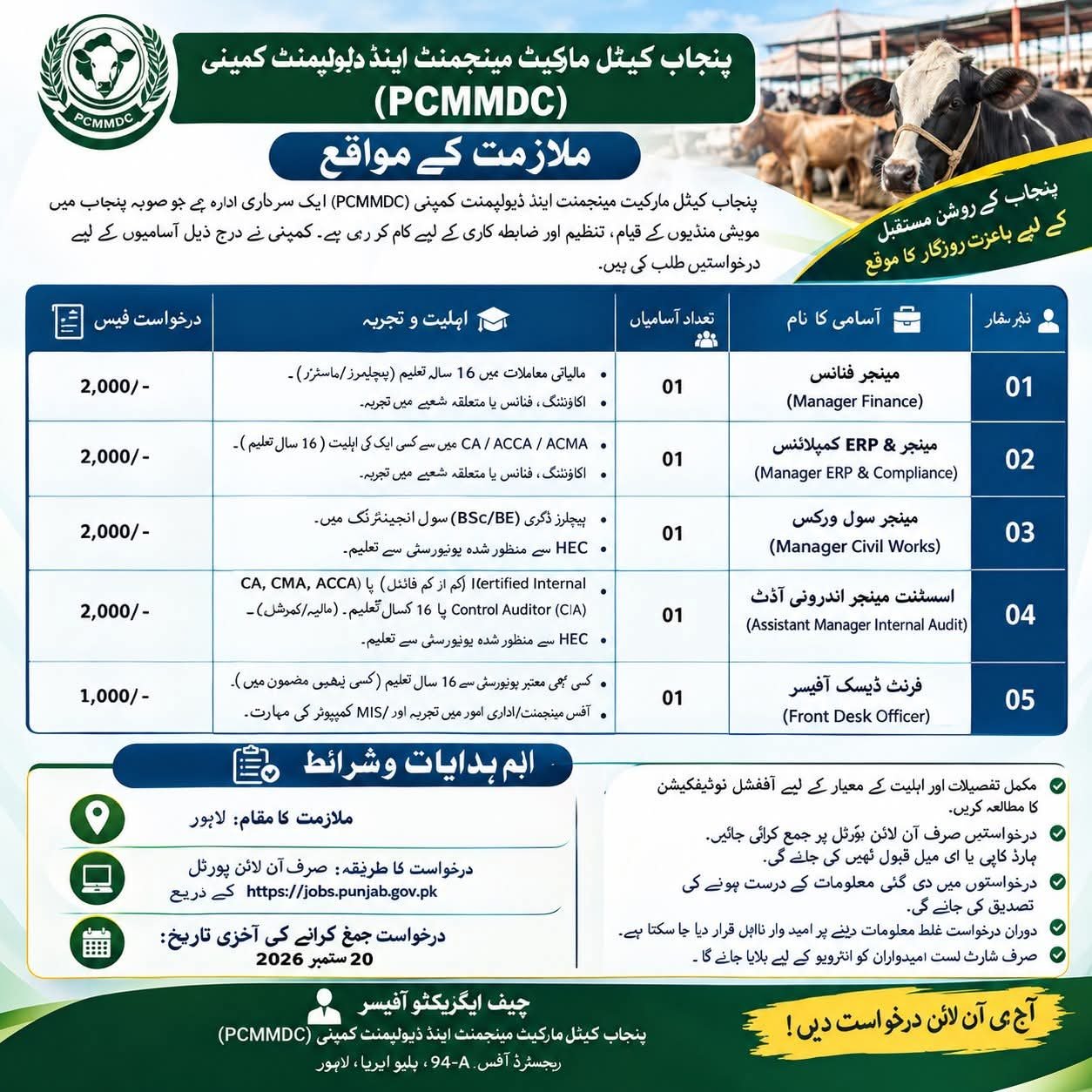 Punjab Cattle Market Management Company Jobs 2026