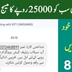 Ehsaas Program 25000 Online Registration