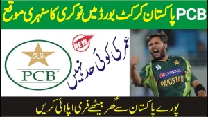 Pakistan Cricket Board PCB Jobs 2023