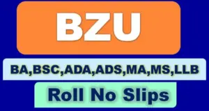 BZU Roll No Slip 2023