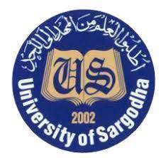Sargodha University Roll Number Slip 2023