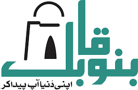 Bano Qabil Online Registration Form 2023