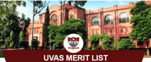 UVAS Merit List 2024
