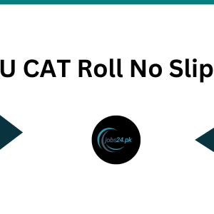 KMU CAT Roll No Slip 2024