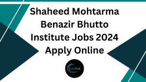 Shaheed Mohtarma Benazir Bhutto Institute Jobs 2024 