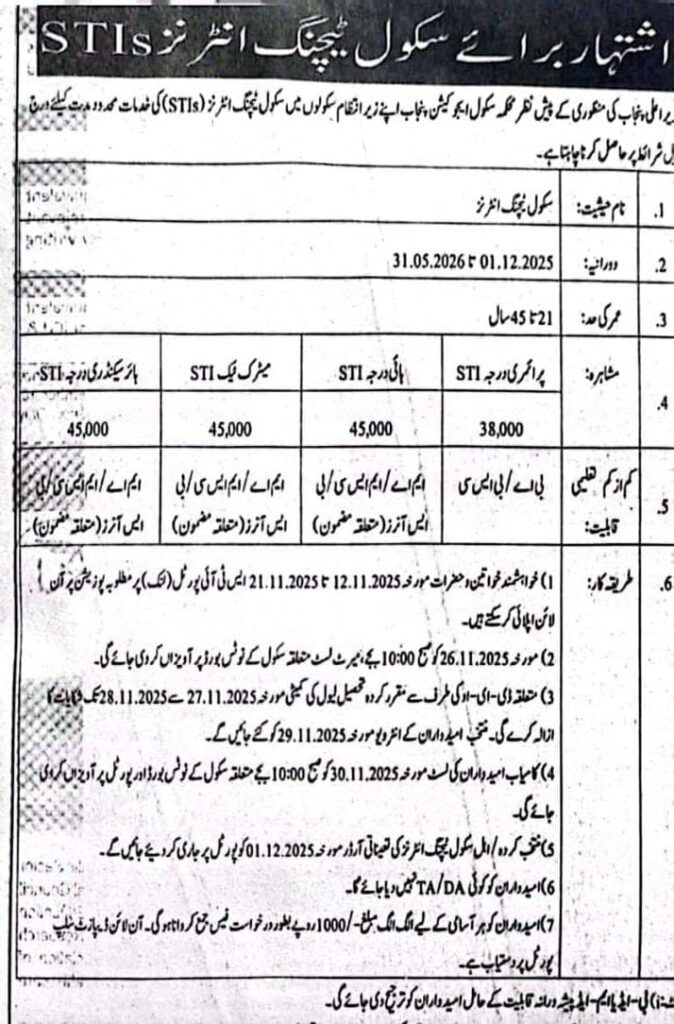 School Teacher Interns STI jobs 2025