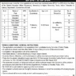 District Education Officer Thatta Jobs 2026 – BPS-01 to BPS-04 Latest Non-Technical Vacancies