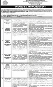 Sindh Social Protection Authority Jobs 2026